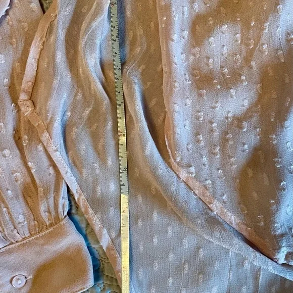 NWT KIMCHI BLUE for Urban Outfitters sheer Swiss dot top w side slits blush/pink - Picture 8 of 8